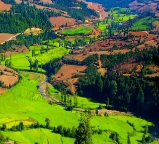 هتل های نکا